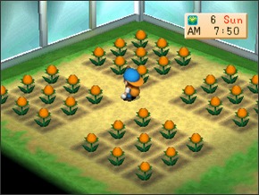 Imagem primavera2