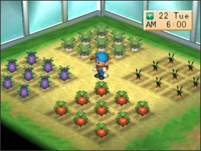 Imagem primavera3