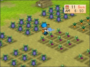 Imagem primavera1
