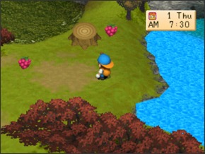 Imagem primavera2