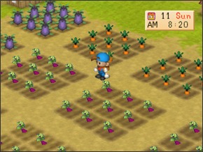 Imagem primavera3