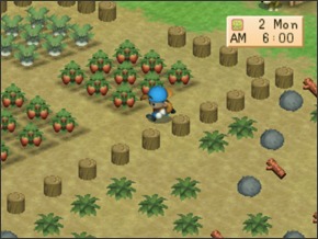 Imagem primavera2