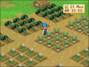 Imagem primavera3