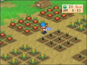 Imagem primavera2