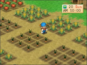 Imagem primavera3