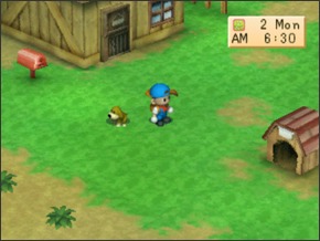 Imagem do cachorro1