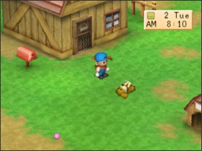 Imagem do cachorro3