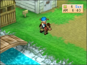 Imagem do cavalo3