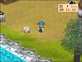 Imagem da ovelha1