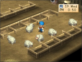 Imagem da ovelha1