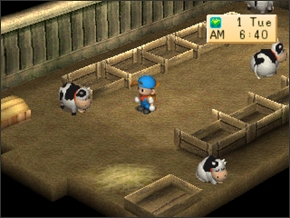 Imagem da vaca3